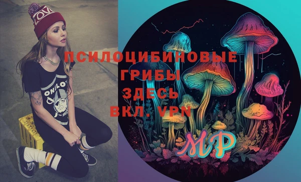 мдпв Алексеевка