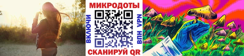 закладки  Беломорск  Галлюциногенные грибы прущие грибы 